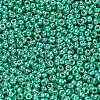 MIYUKI Round Rocailles Beads SEED-X0054-RR5105-2