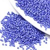 FGB 11/0 Grade A Glass Seed Beads SEED-S030-1010-1