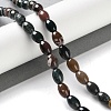 Natural Indian Agate Beads Strands G-I369-B09-01-2