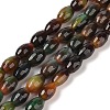 Natural Agate Beads Strands G-Q194-B01-01I-1