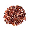 Natural Carnelian Tumbled Chips PW-WGA7DCE-20-1
