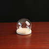 High Borosilicate Glass Dome Cover DJEW-PW0001-22C-01-1