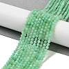 Natural Chrysoprase Beads Strands G-B088-C19-03-2