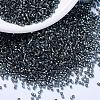MIYUKI Delica Beads SEED-X0054-DB2166-1