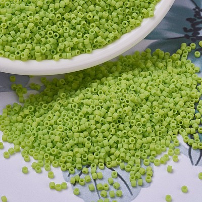 MIYUKI Delica Beads SEED-X0054-DB0763-1