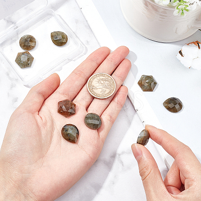 9Pcs 3 Style Natural Labradorite Cabochons G-FH0001-27-1