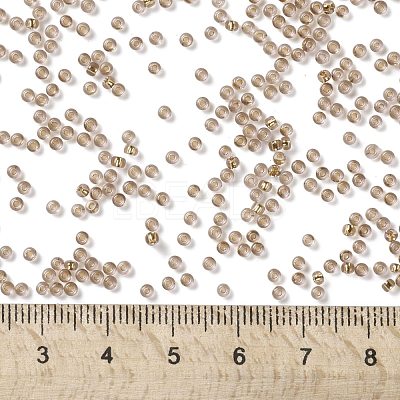TOHO Round Seed Beads SEED-JPTR11-0754-1