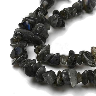 Natural Labradorite Chip Bead Strands G-M205-57A-1