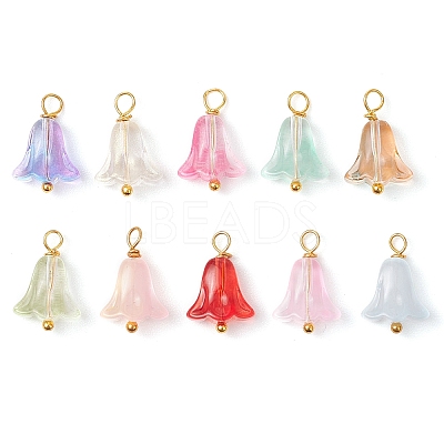 20Pcs Glass Beads Pendants PALLOY-JF03103-1