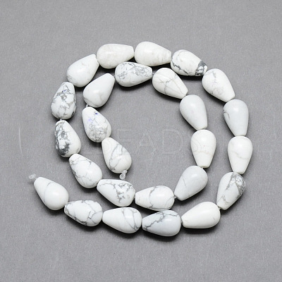 Natural Howlite Gemstone Bead Strands G-T004-19-1