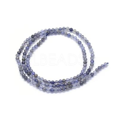 Natural Cordierite/Iolite/Dichroite Beads Strands G-E411-39-2mm-1