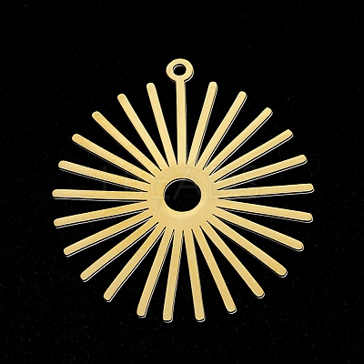 Ion Plating(IP) 304 Stainless Steel Pendants A-STAS-T056-LA307-2-1