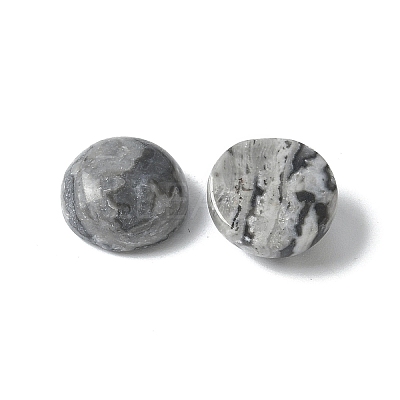 Natural Map Stone Cabochons G-Z075-06A-1