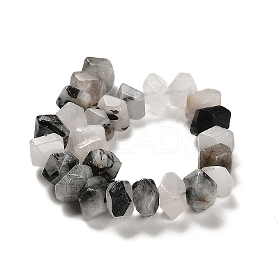 Natural Black Rutilated Quartz Beads Strands G-N327-05-01-1