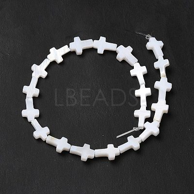 Natural Freshwater Shell Beads Strands BSHE-E026-18-1