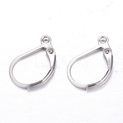 Tarnish Resistant 304 Stainless Steel Leverback Earring Findings LS-STAS-M217-03-1