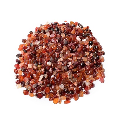 Natural Carnelian Tumbled Chips PW-WGA7DCE-20-1