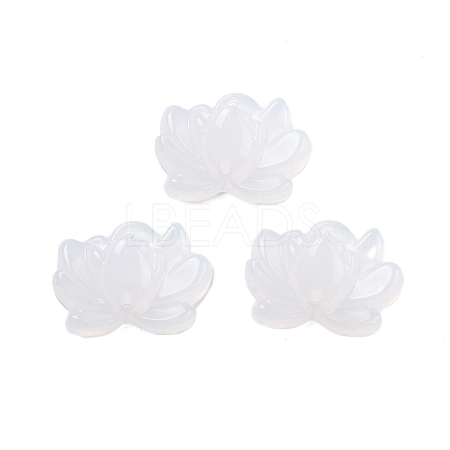 Acrylic Beads OACR-U001-05A-1