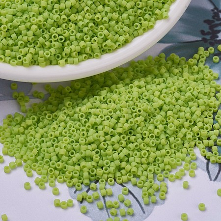 MIYUKI Delica Beads SEED-X0054-DB0763-1