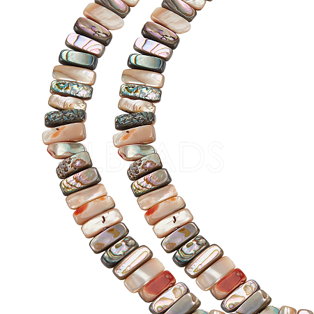 1 Strand Natural Paua Shell Beads Strands BSHE-ME0001-04-1