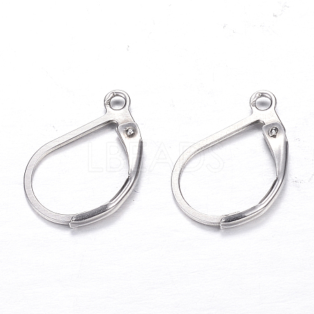 Tarnish Resistant 304 Stainless Steel Leverback Earring Findings LS-STAS-M217-03-1