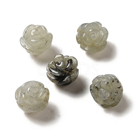 Natural Labradorite Carved Flower Scattered Beads G-O156-B-25-1