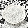Opaque Colours Luster Glass Seed Beads SEED-B001-01A-12-2