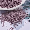 MIYUKI Delica Beads SEED-JP0008-DB0758-1