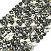 Natural Australia Zebra Jasper Beads Strands G-C116-A60-02-2