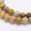 Natural Fossil Coral Beads Strands G-G697-F01-4mm-3