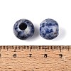 Natural Blue Spot Jasper European Beads G-Q602-09B-07-3