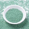 MIYUKI Delica Beads SEED-X0054-DB2125-2