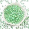 6/0 Inside Colours Fringe Glass Seed Beads SEED-A034-03A-2