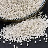 MIYUKI Delica Beads SEED-X0054-DB0211-1