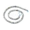 Natural Labradorite Beads Strands X-G-I270-04-2