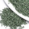 11/0 Grade A Baking Paint Glass Seed Beads X-SEED-S030-1208-1