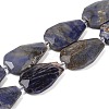 Natural Sodalite Beads Strands G-P548-B24-01-1