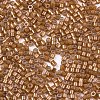 FGB 11/0 Grade A Baking Paint Glass Seed Beads X-SEED-S030-1146-2