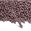 TOHO 8/0 Round Beads SEED-TR08-0133-3