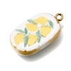Fruit & Floral & Animals Printed Handmade Porcelain Pendants X-STAS-Z207-01G-03-2