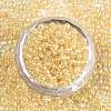 8/0 Glass Seed Beads SEED-A016-3mm-202-3