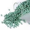 TOHO Round Seed Beads X-SEED-TR08-0561-1