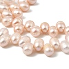 Natural Cultured Freshwater Pearl Beads Strands PEAR-I007-04E-03C-4