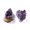 Natural Amethyst Geode Cornucopia Mineral Specimen DJEW-M014-02F-2