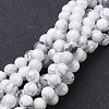 Natural Howlite Bead Strands G-G735-66-10mm-1