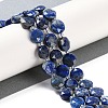 Natural Lapis Lazuli Beads Strands G-N342-16-2