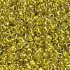 TOHO 11/0 Round Beads X-SEED-TR11-1013-3