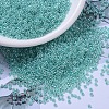 MIYUKI Round Rocailles Beads SEED-X0054-RR0536-1