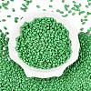 Baking Paint Glass Seed Beads SEED-T006-03F-1