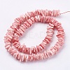 Natural Sea Shell Beads Strands BSHE-K012-08D-2